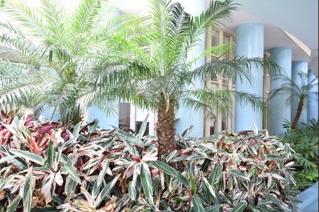 Apartamento à venda com 233m², 3 quartos e 2 vagasJardim de entrada