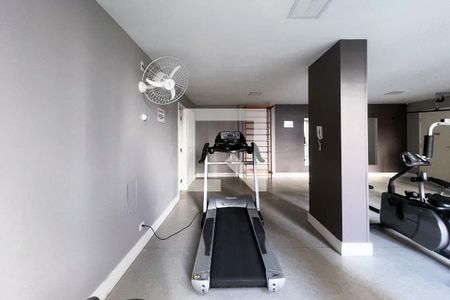 Apartamento para alugar com 183m², 3 quartos e 1 vaga Apartamento para alugar com 183m², 3 quartos e 1 vagaÁrea comum - Academia