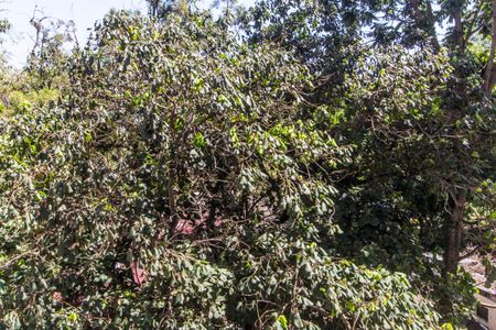 Apartamento à venda com 57m², 2 quartos e 1 vagaVista do Quarto 2