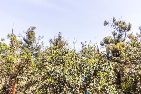 Apartamento à venda com 57m², 2 quartos e 1 vagaVista do Quarto 1