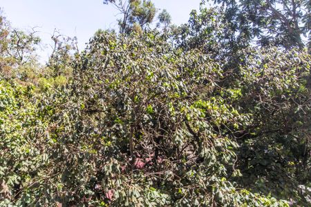 Apartamento à venda com 57m², 2 quartos e 1 vagaVista do Quarto 2