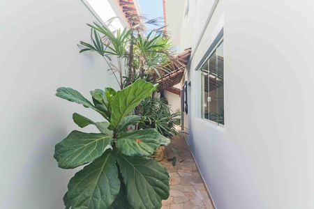 Casa para alugar com 166m², 3 quartos e 2 vagasQuintal