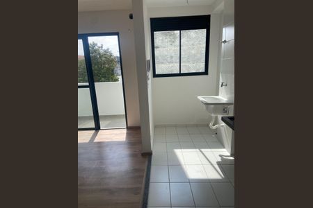 Cozinha e área de serviço de apartamento para alugar com 2 quartos, 45m² em Vila Aquilino, Santo André