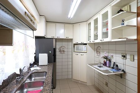 Apartamento à venda com 243m², 3 quartos e 2 vagasCozinha - Armários