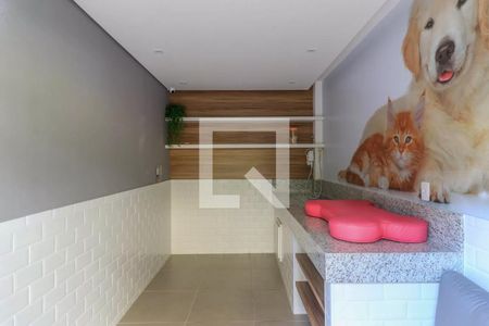 Apartamento para alugar com 30m², 1 quarto e sem vagaÁrea comum - Pet Care