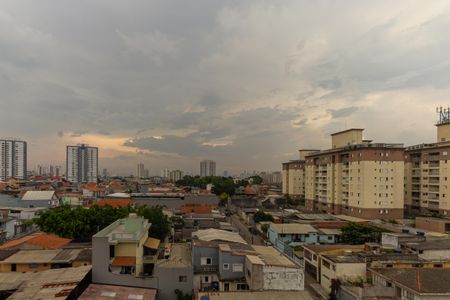 Studio para alugar com 24m², 1 quarto e sem vagaVIsta 