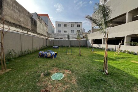 Apartamento para alugar com 35m², 2 quartos e sem vaga Apartamento para alugar com 35m², 2 quartos e sem vagaÀrea Pet