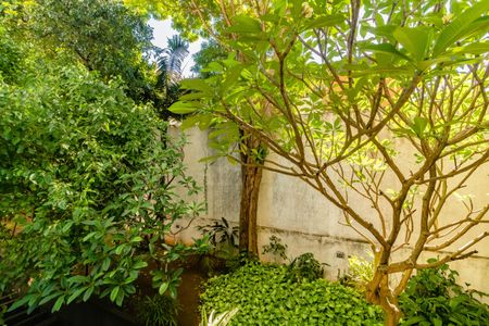 Apartamento para alugar com 2 quartos, 79m² em Vila Clementino, São Paulo