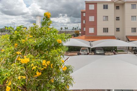 Vista Sala  de apartamento para alugar com 2 quartos, 50m² em Residencial Real Park Sumaré, Sumaré