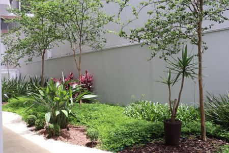 Studio para alugar com 27m², 1 quarto e sem vagaÁrea Comum