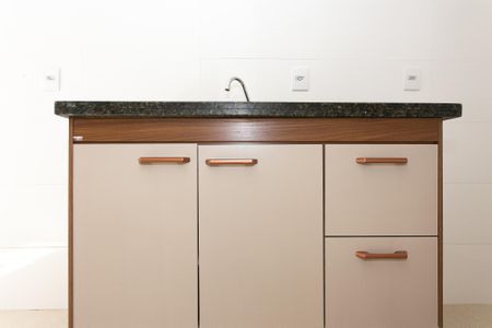 Cozinha - Armários de apartamento para alugar com 2 quartos, 48m² em Vila Centenario, São Paulo