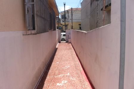 Casa para alugar com 70m², 1 quarto e sem vagaQuintal