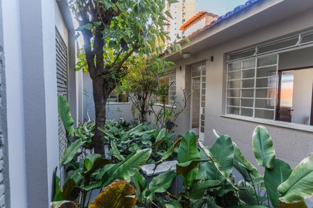 Casa à venda com 640m², 6 quartos e 3 vagas Casa à venda com 640m², 6 quartos e 3 vagasJardim de Inverno no Corredor