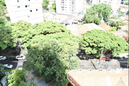 Vista de kitnet/studio para alugar com 1 quarto, 25m² em Sumarezinho, São Paulo