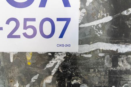 Casa para alugar com 290m², 5 quartos e 1 vagaCIKS-243