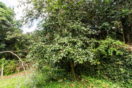 Casa de condomínio para alugar com 10230m², 5 quartos e 3 vagasQuintal