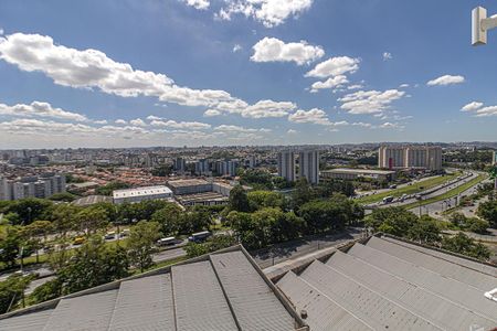 vistas_3 de apartamento para alugar com 2 quartos, 38m² em Vila Vermelha, São Paulo