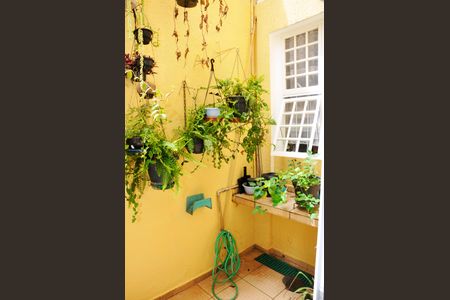 Casa para alugar com 150m², 3 quartos e 2 vagasDetalhe - Quintal