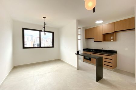 Sala de apartamento para alugar com 2 quartos, 63m² em Serra, Belo Horizonte