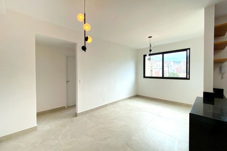 Sala de apartamento para alugar com 2 quartos, 63m² em Serra, Belo Horizonte