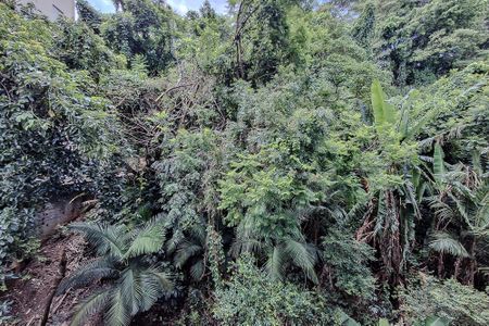 Vista da Varanda de apartamento para alugar com 2 quartos, 45m² em Vila Monumento, São Paulo