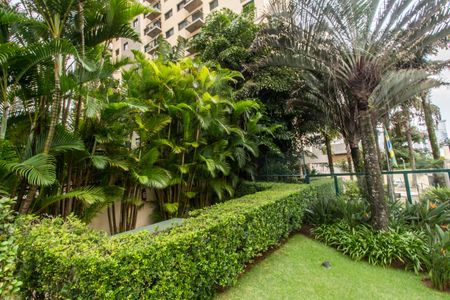 Apartamento para alugar com 79m², 3 quartos e 2 vagas Apartamento para alugar com 79m², 3 quartos e 2 vagasÁrea comum