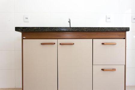 Cozinha - Armários de apartamento para alugar com 2 quartos, 39m² em Vila Centenario, São Paulo