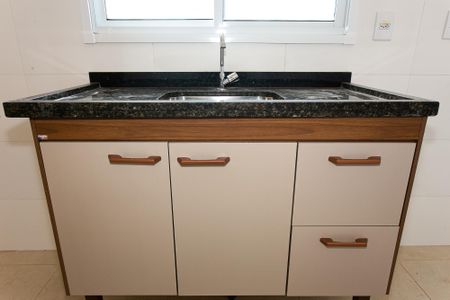 Apartamento para alugar com 49m², 2 quartos e 1 vagaCozinha - Armários