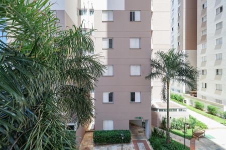 Apartamento para alugar com 52m², 2 quartos e 1 vagaVista do Quarto 2