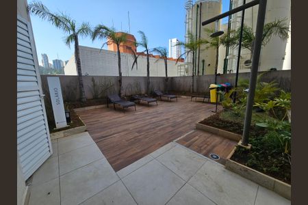 Studio para alugar com 28m², 1 quarto e sem vagaSolário