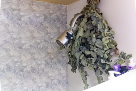 Apartamento à venda com 80m², 2 quartos e 1 vaga Apartamento à venda com 80m², 2 quartos e 1 vagaBanheiro da Suíte