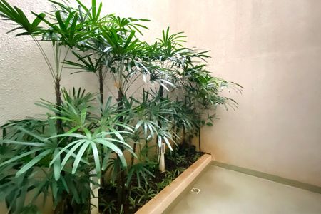 Apartamento à venda com 80m², 3 quartos e 2 vagas Apartamento à venda com 80m², 3 quartos e 2 vagasÁrea comum - Jardim de inverno