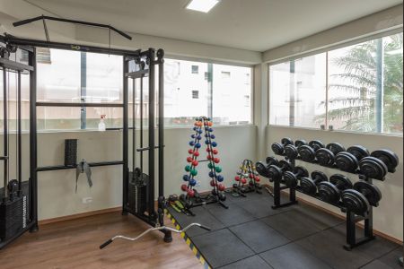 Apartamento para alugar com 75m², 2 quartos e 1 vaga Apartamento para alugar com 75m², 2 quartos e 1 vagaÁrea comum - Academia