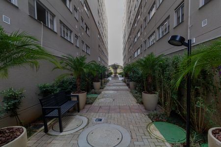 Apartamento para alugar com 41m², 1 quarto e sem vagaÁrea Comum