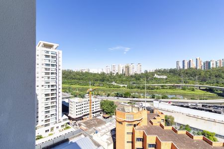 Vista Varanda de apartamento para alugar com 1 quarto, 29m² em Jardim Caravelas, São Paulo