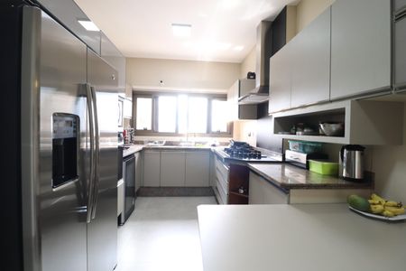 Apartamento para alugar com 264m², 5 quartos e 2 vagasCozinha