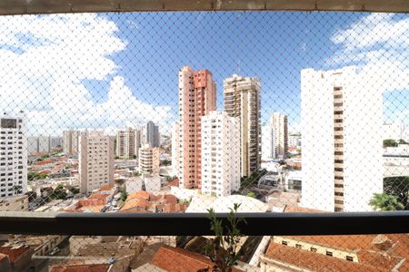 Apartamento para alugar com 264m², 5 quartos e 2 vagasSacada