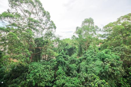 Vista da Varanda da Sala de apartamento para alugar com 3 quartos, 117m² em Chácara Agrindus, Taboão da Serra
