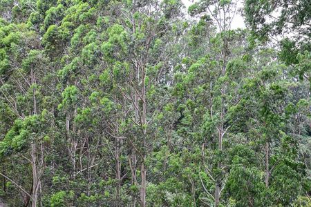 Apartamento à venda com 97m², 3 quartos e 2 vagasVista do Quarto 2