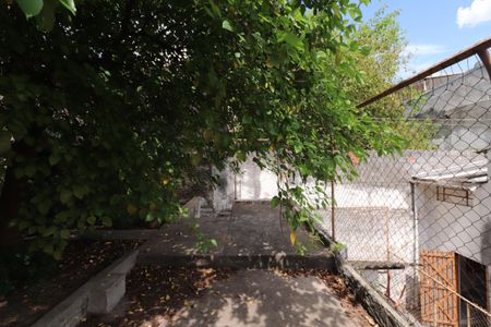 Casa à venda com 100m², 5 quartos e 11 vagasQuintal