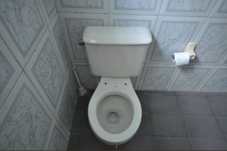 Banheiro de casa para alugar com 1 quarto, 60m² em Vila Gustavo, São Paulo