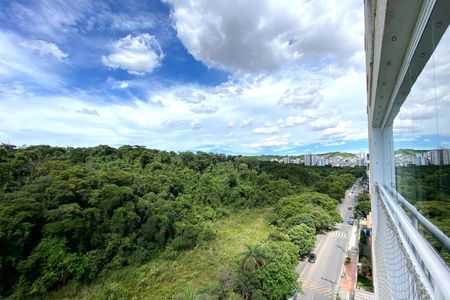 Vista da Sala de apartamento à venda com 3 quartos, 80m² em Castelo, Belo Horizonte