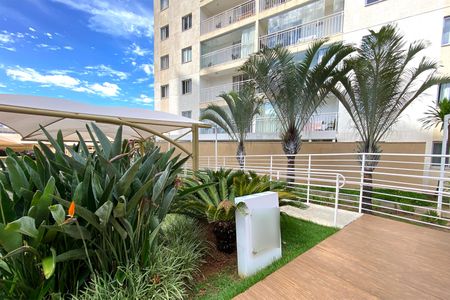 Apartamento à venda com 80m², 3 quartos e 2 vagasÁrea comum - Jardim