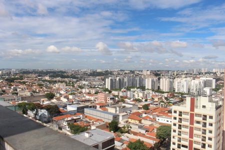 Apartamento para alugar com 400m², 3 quartos e 4 vagasVista