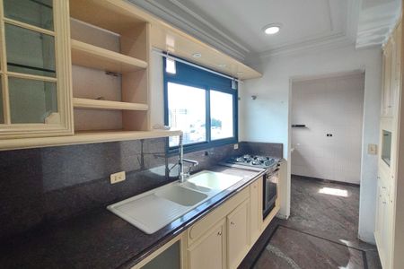 Apartamento para alugar com 400m², 3 quartos e 4 vagas Apartamento para alugar com 400m², 3 quartos e 4 vagasCozinha