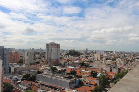 Apartamento para alugar com 400m², 3 quartos e 4 vagasVista