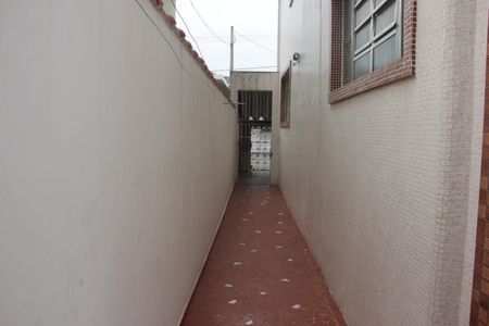 Casa para alugar com 252m², 4 quartos e 3 vagasQuintal