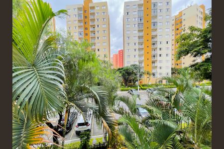 Apartamento para alugar com 58m², 2 quartos e 1 vagaVista