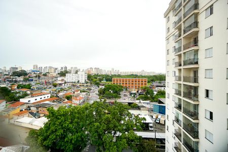 Apartamento para alugar com 65m², 3 quartos e 2 vagasVista da suíte