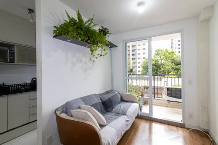 Sala de apartamento à venda com 2 quartos, 54m² em Bonfim, Campinas